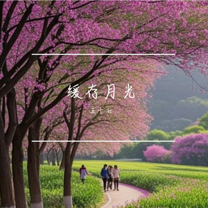 缓存月光