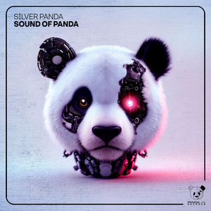 Sound of Panda (Extended Mix)