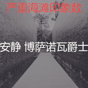 安静的鸡尾酒吧声音