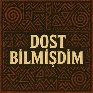 Dost Bilmişdim