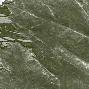 Advancing Hordes (Merzbow Frog Remix)