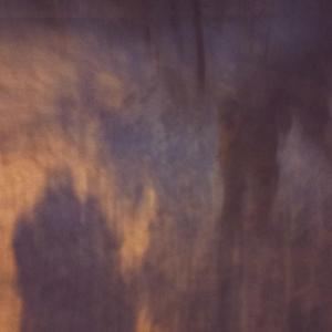 幸福(女儿叫波兰)