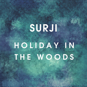 Holiday in the Woods