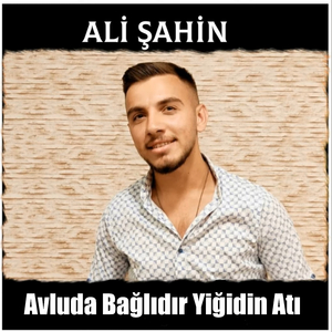 Avluda Bağlıdır Yiğidin Atı