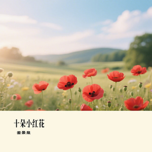 十朵小红花