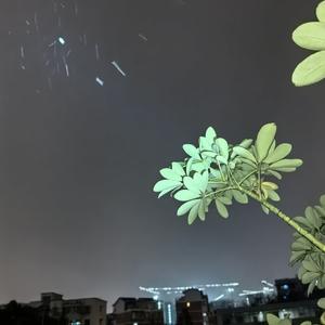 行走的鱼（翻自:徐佳莹）（翻自 高橋龍介）