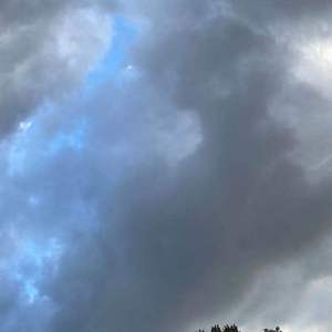 白羊（翻自 徐秉龙）