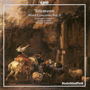Concerto in G Major, TWV 51:G2:I. Andante