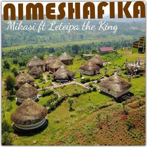 Nimeshafika