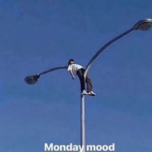 天下的乌鸦一般黑