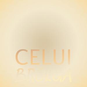 Rheumatologist Finlay