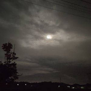 关于二十岁的描述