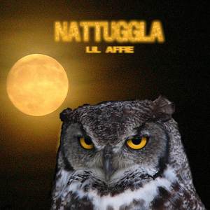Nattuggla