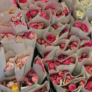 陪女孩逛花店lofi