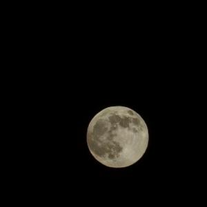 总有美好在路上