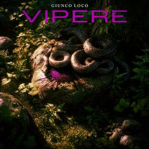 Vipere