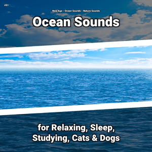 Ocean Sounds to Calm Down