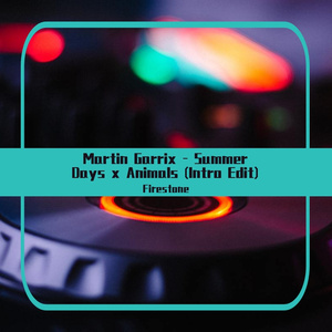 Martin Garrix / Martin Garrix-Summer Days x Animals (DJ Firestone Intro Edit)（DJ Firestone remix）