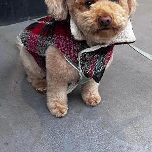 Winter Breeze to Summer