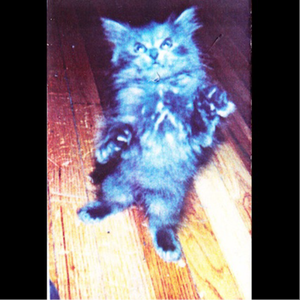 Rubin and Ed Clean the Squeaky Mouse