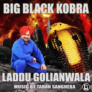 Big Black Kobra