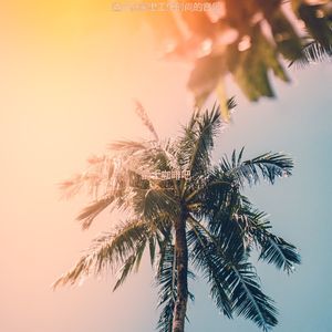 读轻快的轻音乐