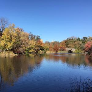 桃花溪（音乐）