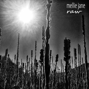 Murray's Song (Live)