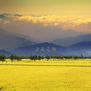 星光熠熠 (大提琴)