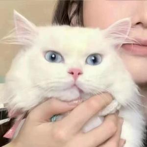 願い〜あの頃のキミへ