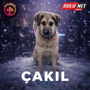 Çakıl