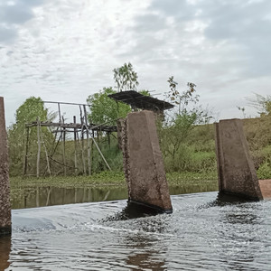 หรือไม่ใช่