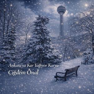 ANKARA'YA KAR YAĞIYOR KARYA