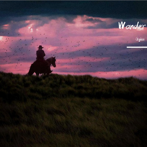 Wander