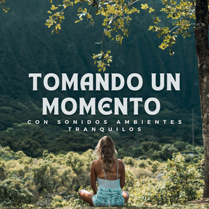 Estilo De Vida Ambiental
