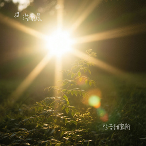 往昔甜蜜岁月