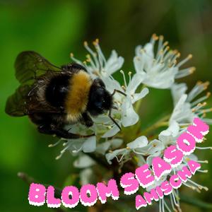 Bloom Season