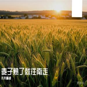 麦子熟了就往南走