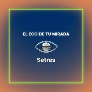 El eco de tu mirada