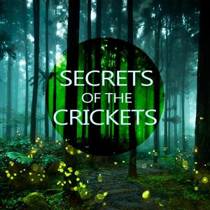 Yoga Tribe (with Zen Flutes & Nature Sounds)