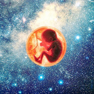 太陽に向かって(Album Version)