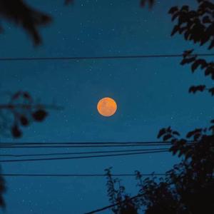 我很快乐（温柔女声版）