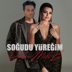 SOĞUDU YÜREĞİM