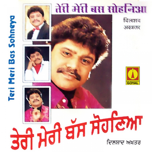 Tutte Dil Sahara Chahida