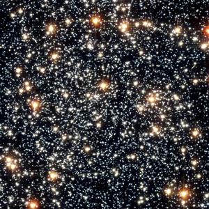 一个天赋异禀的痴情XXX