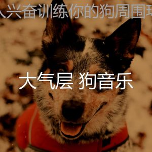 温和小狗梦想