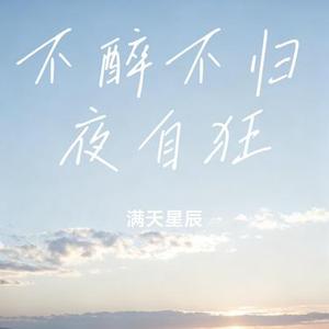 不醉不归夜自狂 (Cover 口水歌永兴)