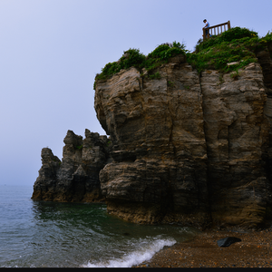 你应该很快乐(翻自虎二)