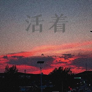 或许我和你一样