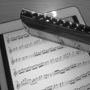 Purple Passion - 紫色激情（口琴）（翻自 Diana Boncheva）